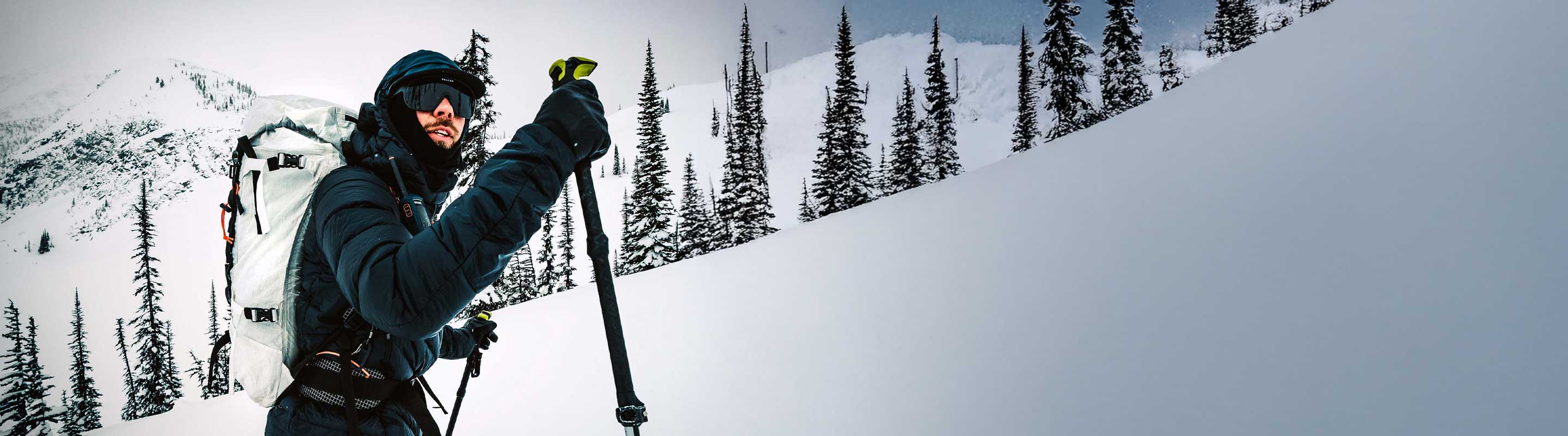 Person skiing on a snowy mountain with trees and a clear sky