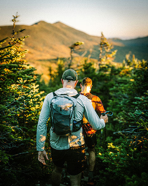 Two hikers walking through a forest with mountains in the background
